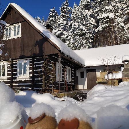 Ubytování Roubenka Koberovy Exterior foto